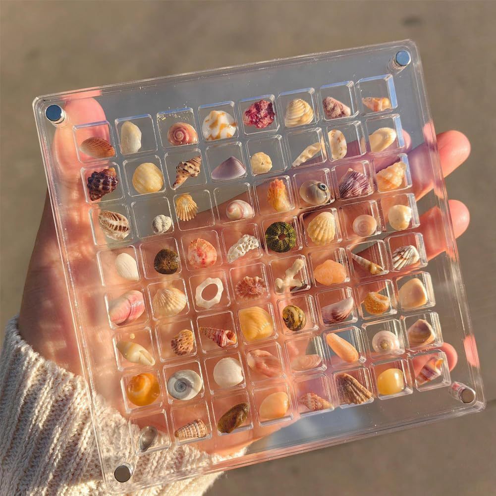 Acrylic Magnetic Seashell Display Box Jewelry Storage Box
