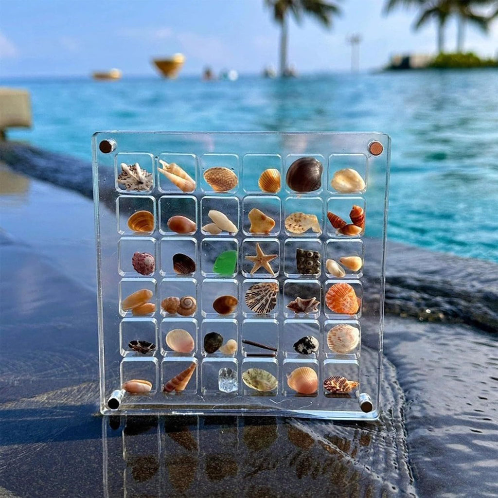 Acrylic Magnetic Seashell Display Box Jewelry Storage Box